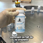 Fabrication de la créatine InShape Nutrition